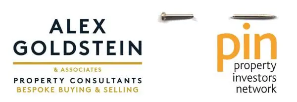 Alex Goldstein and PIN logo