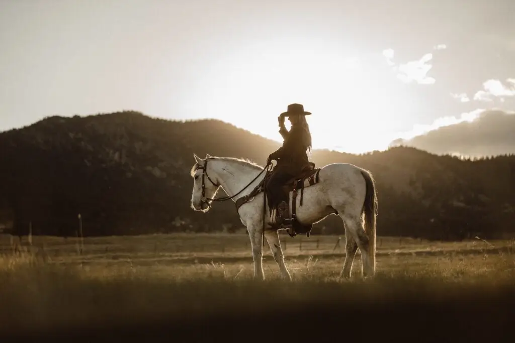 cowboy on horseback
