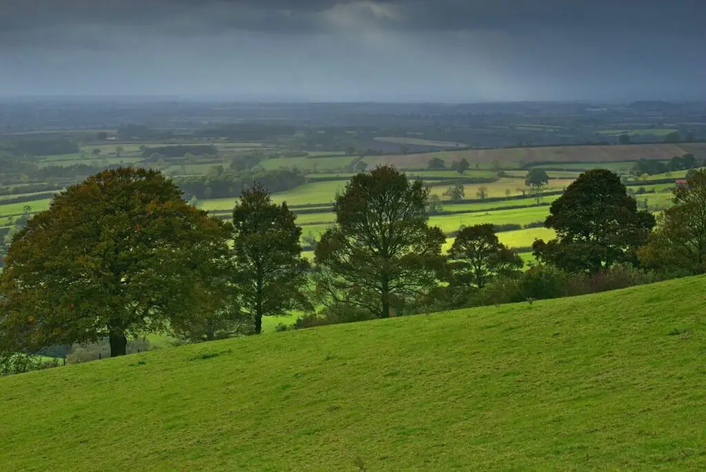 Living in Boroughbridge